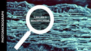 Activated Carbon Photomicrograph